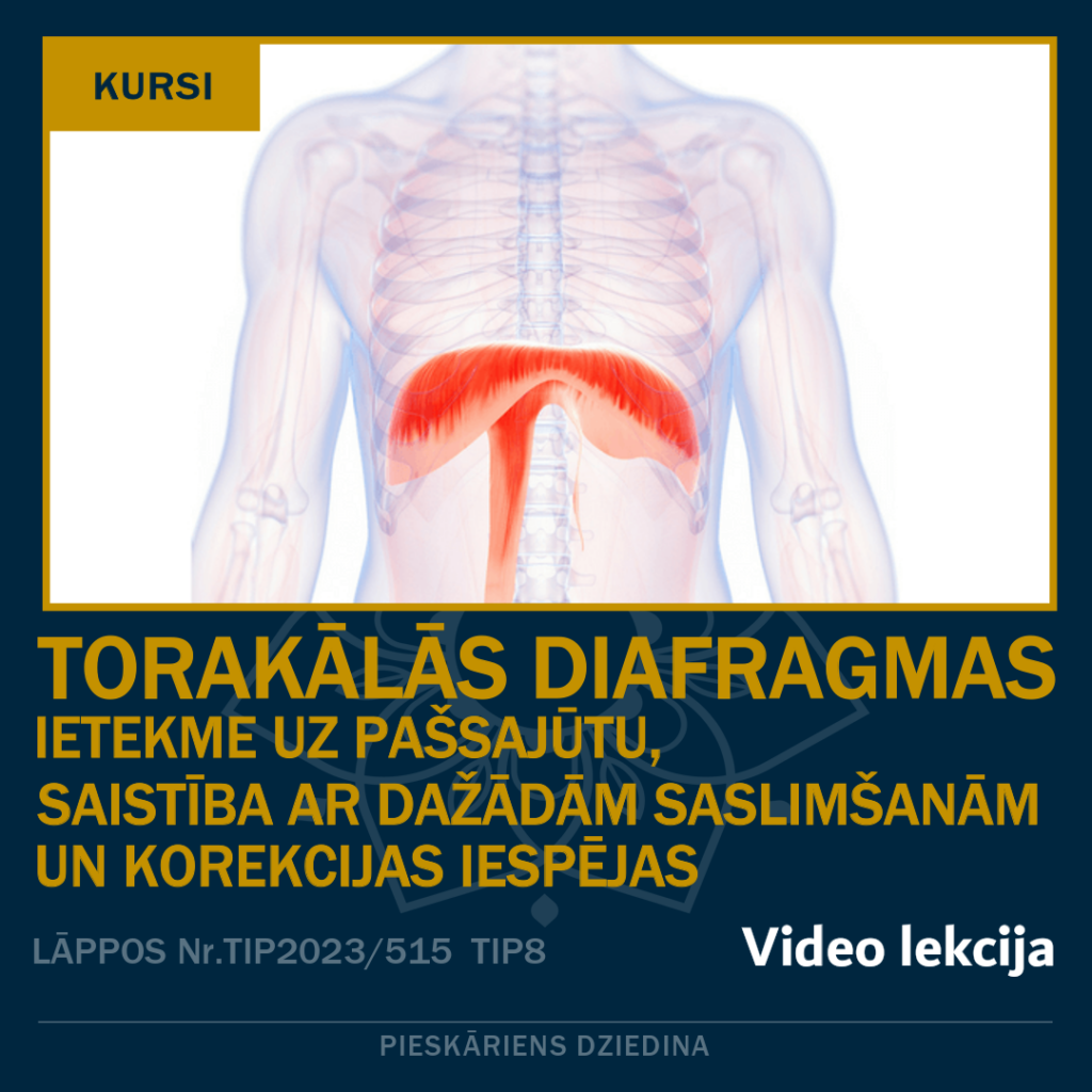 masieru akadēmija online video kursi - Torakālās diafragmas ietekme uz pašsajūtu-1