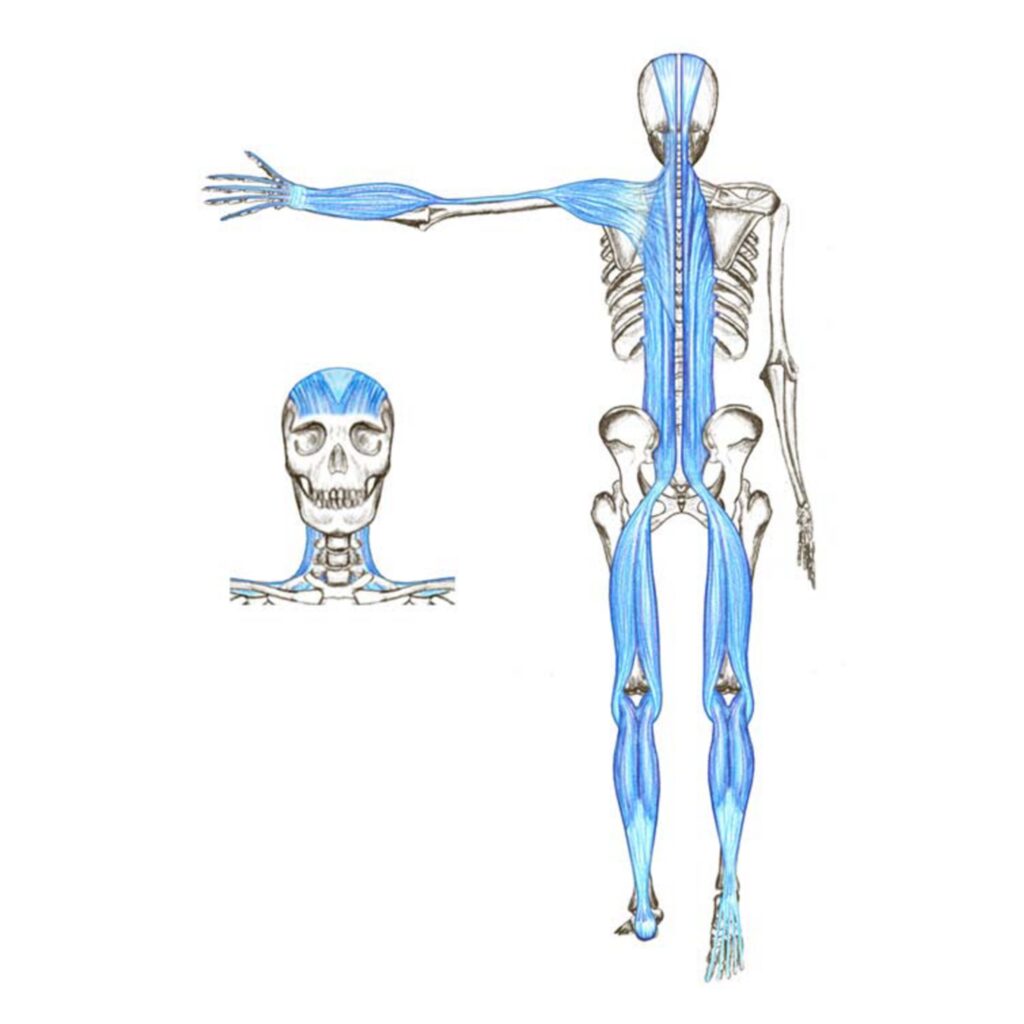 Miofasciālā masāža