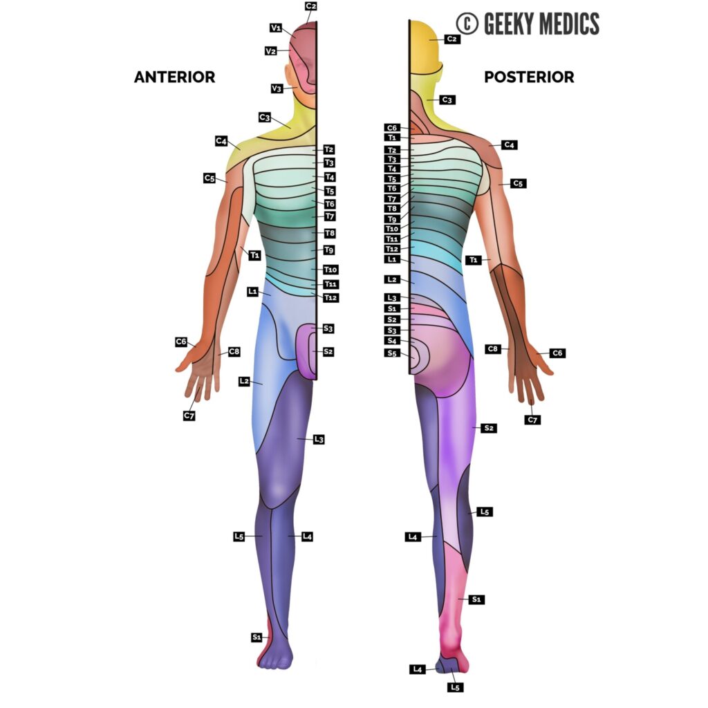 Segmentāri reflektorā masāža