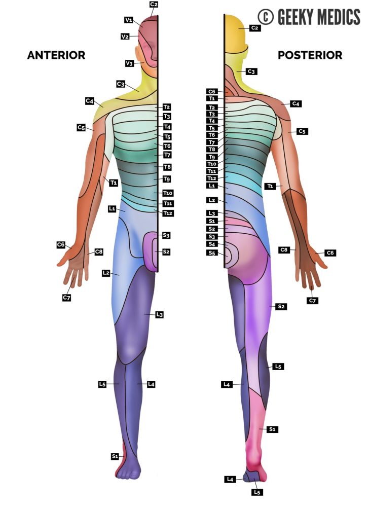 Segmentāri reflektorā masāža